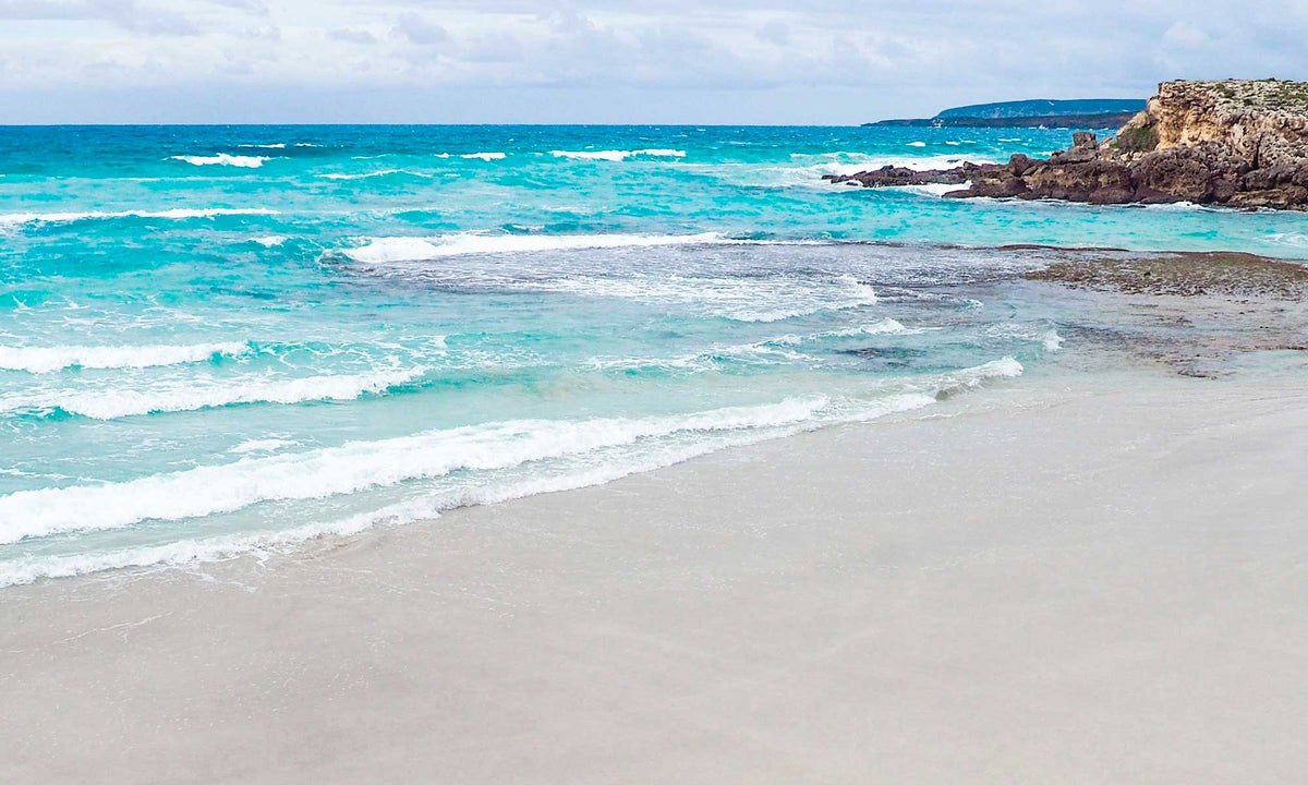 FOR THE LOVE OF OCEANS