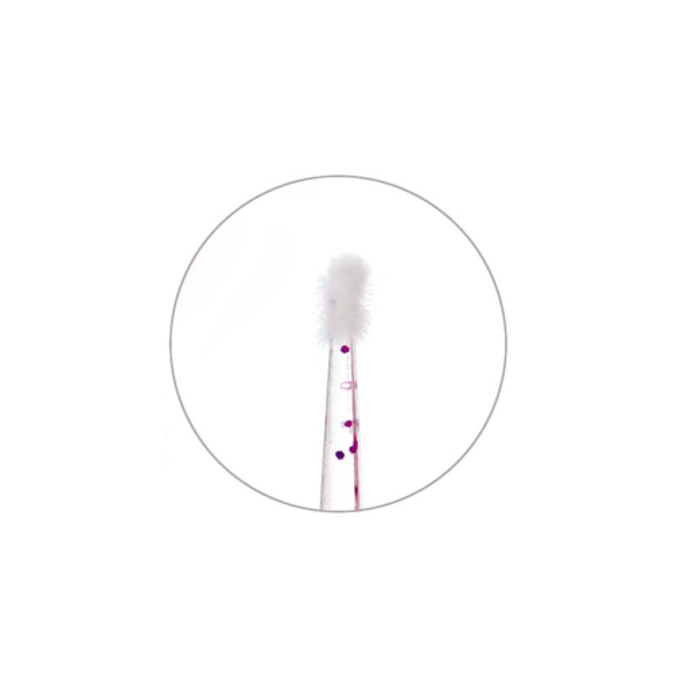 Micro Applicator Brushes Fine Crystal Pink 100/Pack