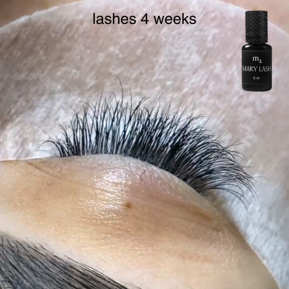 MARY LASH Glue m2 - Fast Lash Extension Adhesive