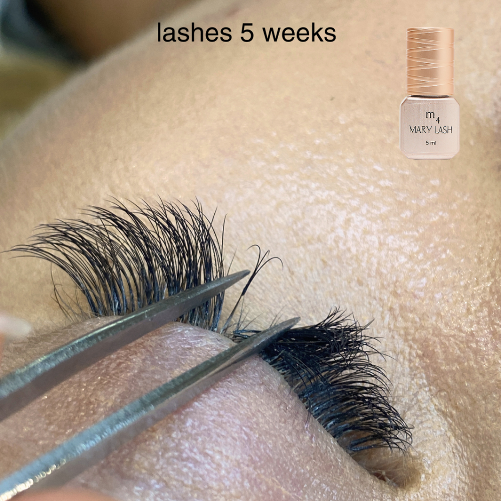 MARY LASH Glue m4 - Fast Lash Extension Adhesive